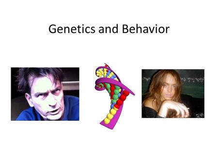 Genetics and Behavior. With reference to relevant research studies, to what extent does genetic inheritance influence behavior?