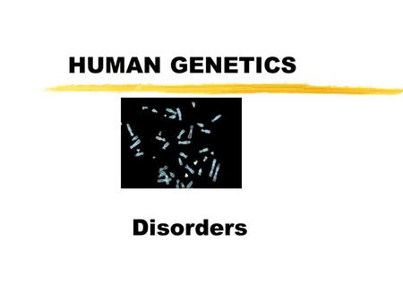 HUMAN GENETICS Disorders. How information is taken to detect genetic disorders before birth zBlood test zAmniocentesis zChorionic villus sampling CVS.