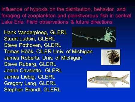 Influence of hypoxia on the distribution, behavior, and foraging of zooplankton and planktivorous fish in central Lake Erie: Field observations & future.