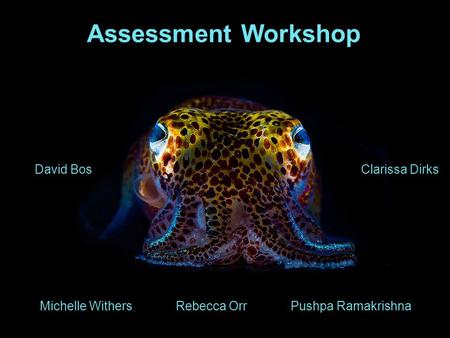 Assessment Workshop Michelle Withers David BosClarissa Dirks Rebecca OrrPushpa Ramakrishna.