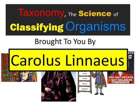 Taxonomy, The Science of Classifying Organisms