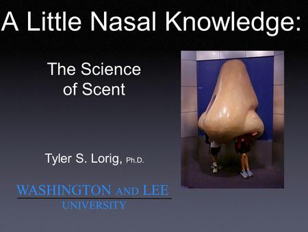 A Little Nasal Knowledge: Tyler S. Lorig, Ph.D. WASHINGTON AND LEE UNIVERSITY The Science of Scent.