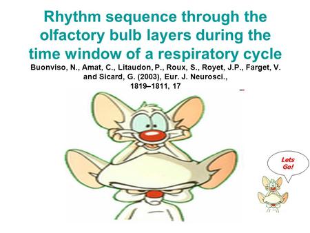 Rhythm sequence through the olfactory bulb layers during the time window of a respiratory cycle Buonviso, N., Amat, C., Litaudon, P., Roux, S., Royet,
