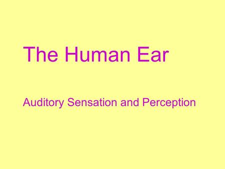 Auditory Sensation and Perception