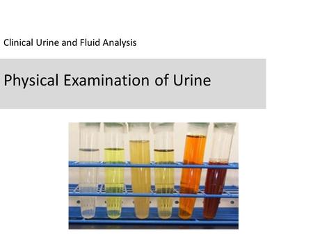 Clinical Urine and Fluid Analysis Physical Examination of Urine