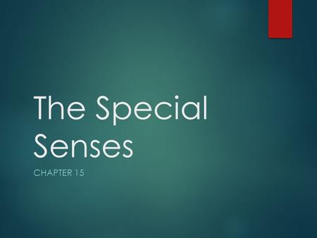 The Special Senses Chapter 15.