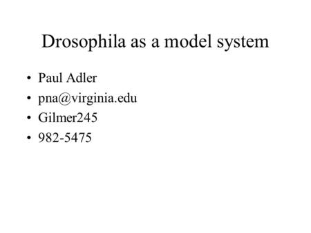 Drosophila as a model system Paul Adler Gilmer245 982-5475.