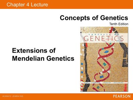 Copyright © 2009 Pearson Education, Inc. Extensions of Mendelian Genetics Chapter 4 Lecture Concepts of Genetics Tenth Edition.