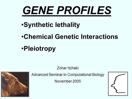 GENE PROFILES Synthetic lethality Chemical Genetic Interactions