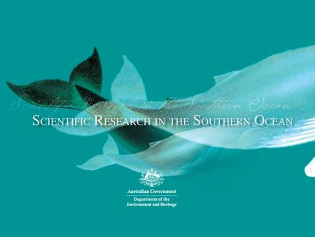 OVERVIEW Lethal whaling in the Southern Ocean Non-lethal research Conclusion.