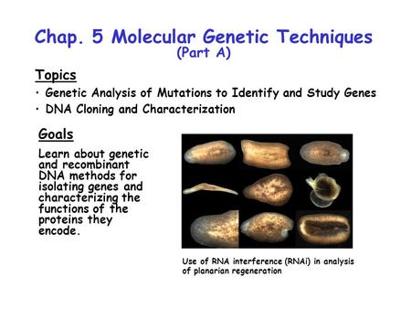 Chap. 5 Molecular Genetic Techniques (Part A)