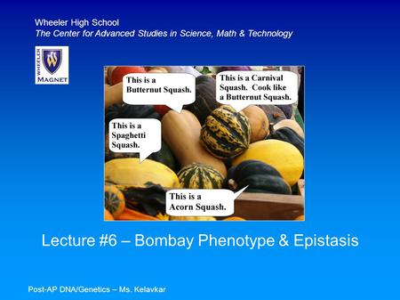 Lecture #6 – Bombay Phenotype & Epistasis