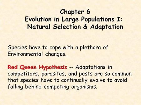 Evolution in Large Populations I: Natural Selection & Adaptation