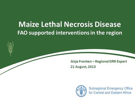 Maize Lethal Necrosis Disease FAO supported interventions in the region Aisja Frenken – Regional DRR Expert 21 August, 2013.