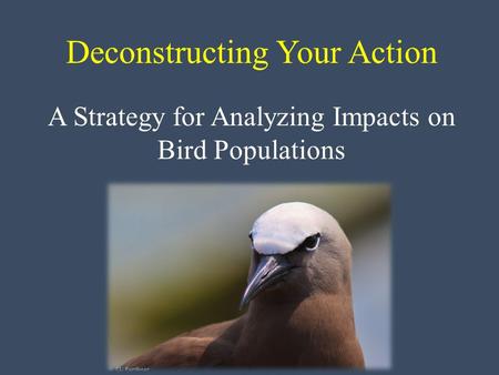 Deconstructing Your Action A Strategy for Analyzing Impacts on Bird Populations.