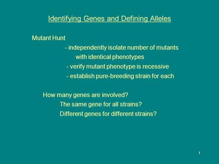1 Identifying Genes and Defining Alleles Mutant Hunt - independently isolate number of mutants with identical phenotypes - verify mutant phenotype is recessive.