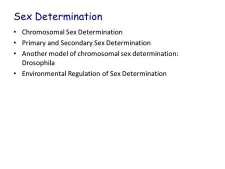 Sex Determination Chromosomal Sex Determination