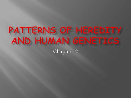 Patterns of Heredity and Human Genetics
