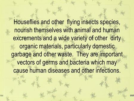 Houseflies and other flying insects species, nourish themselves with animal and human excrements and a wide variety of other dirty organic materials,