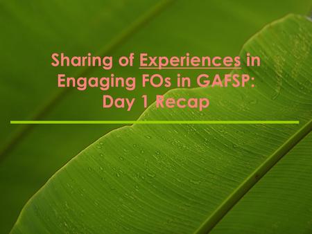 Sharing of Experiences in Engaging FOs in GAFSP: Day 1 Recap.