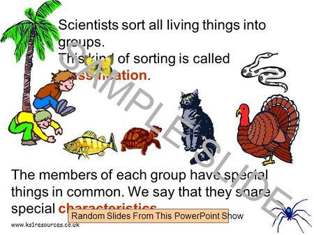 Www.ks1resources.co.uk Scientists sort all living things into groups. This kind of sorting is called classification. The members of each group have special.