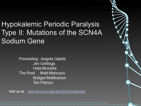 Hypokalemic Periodic Paralysis Type II: Mutations of the SCN4A Sodium Gene Presenting : Angela Galotti Jim Gettings Hala Mostafa The Rest :Matt Mancuso.