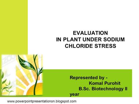 Represented by - Komal Purohit B.Sc. Biotechnology II year EVALUATION IN PLANT UNDER SODIUM CHLORIDE STRESS www.powerpointpresentationon.blogspot.com.