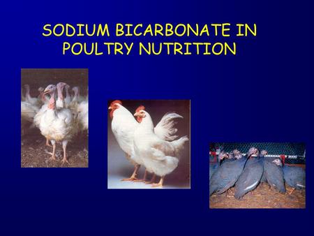 SODIUM BICARBONATE IN POULTRY NUTRITION