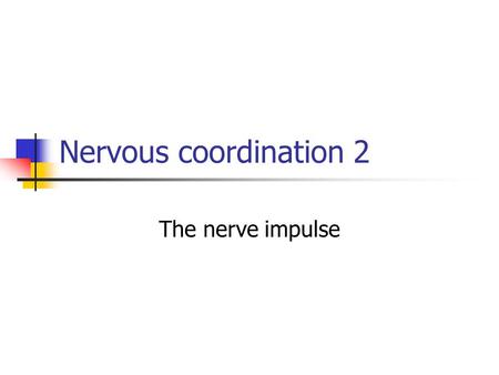 Nervous coordination 2 The nerve impulse.