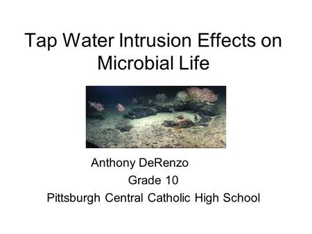Tap Water Intrusion Effects on Microbial Life Anthony DeRenzo Grade 10 Pittsburgh Central Catholic High School.