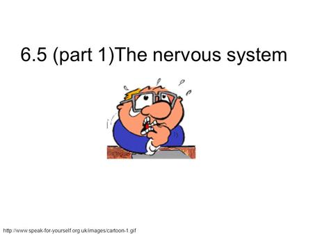 6.5 (part 1)The nervous system