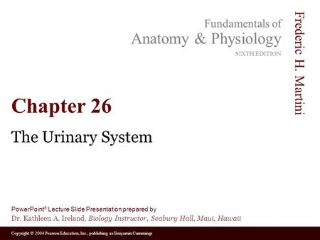 Chapter 26 The Urinary System.