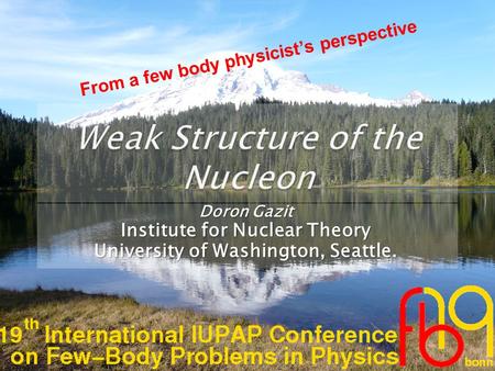 Doron Gazit Institute for Nuclear Theory University of Washington, Seattle. From a few body physicist’s perspective.