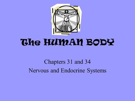 Chapters 31 and 34 Nervous and Endocrine Systems