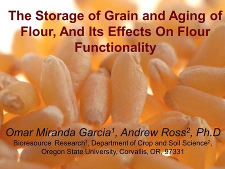The Storage of Grain and Aging of Flour, And Its Effects On Flour Functionality Omar Miranda Garcia 1, Andrew Ross 2, Ph.D Bioresource Research 1, Department.
