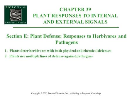 CHAPTER 39 PLANT RESPONSES TO INTERNAL AND EXTERNAL SIGNALS Copyright © 2002 Pearson Education, Inc., publishing as Benjamin Cummings Section E: Plant.