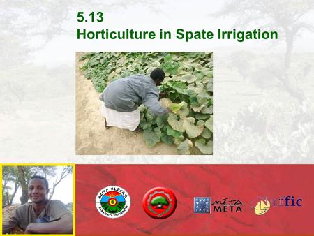 5.13 Horticulture in Spate Irrigation. Horticulture in Spate Irrigation  Horticultural production is possible in spate irrigation, provided:  Use the.
