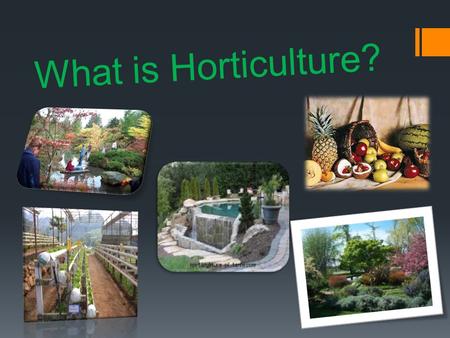 What is Horticulture?. Horticulture Horticulture is the art and science of growing fruits, nuts, vegetables, and ornamentals. Horticulture is also known.