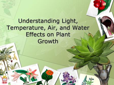 Understanding Light, Temperature, Air, and Water Effects on Plant Growth.