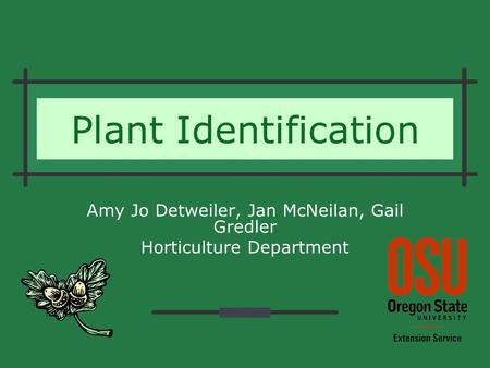 Plant Identification Amy Jo Detweiler, Jan McNeilan, Gail Gredler Horticulture Department.
