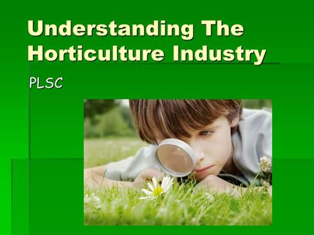 Understanding The Horticulture Industry