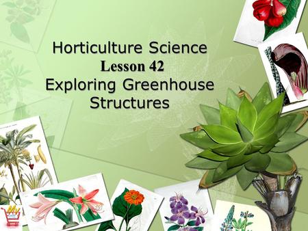 Horticulture Science Lesson 42 Exploring Greenhouse Structures