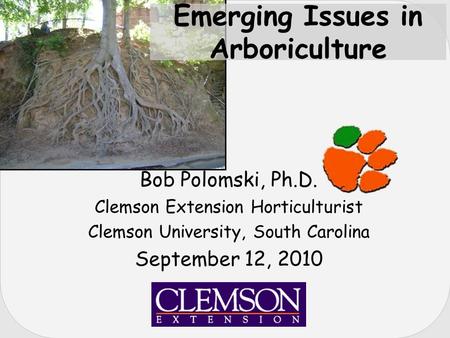 Bob Polomski, Ph.D. Clemson Extension Horticulturist Clemson University, South Carolina September 12, 2010 Emerging Issues in Arboriculture.
