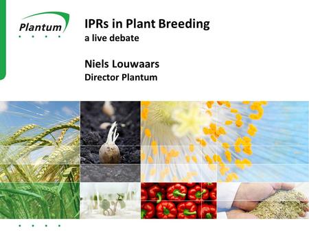 IPRs in Plant Breeding a live debate Niels Louwaars Director Plantum.