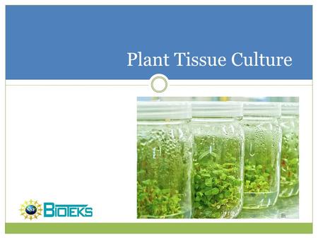 Plant Tissue Culture Do you want a footer?.