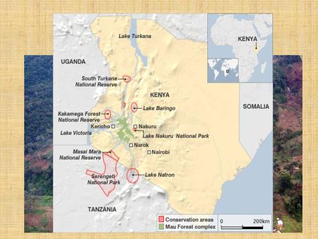 Mau Forest Overview. What is the Mau forest? Largest remaining block of montane forest in Eastern Africa—an areaLargest remaining block of montane forest.