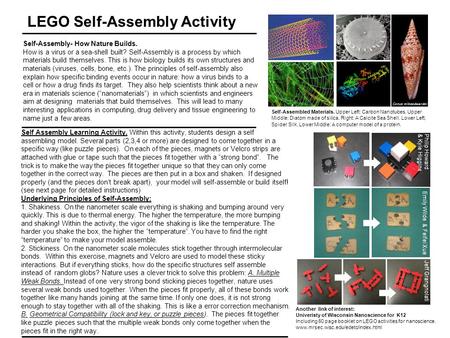 LEGO Self-Assembly Activity Self-Assembly- How Nature Builds. How is a virus or a sea-shell built? Self-Assembly is a process by which materials build.