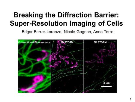 Breaking the Diffraction Barrier: Super-Resolution Imaging of Cells Edgar Ferrer-Lorenzo, Nicole Gagnon, Anna Torre 1.
