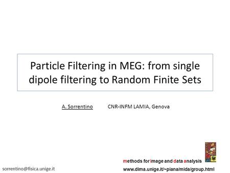 Particle Filtering in MEG: from single dipole filtering to Random Finite Sets A. SorrentinoCNR-INFM LAMIA, Genova methods for image and data analysis www.dima.unige.it/~piana/mida/group.html.