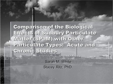 Comparison of the Biological Effects of Sudbury Particulate Matter (SPaM) with Other Particulate Types: Acute and Chronic Studies Sarah M. White Stacey.